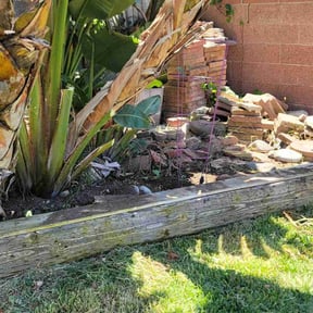 Cleanups by Sbm reviewed on December 17, 2024