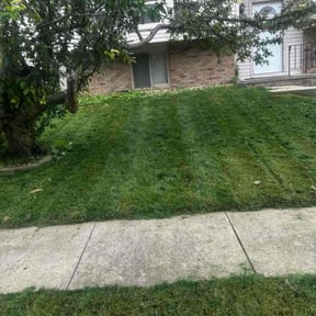 Flower Bed Weeding by Two Grasshoppers lawn care. reviewed on August 6, 2024