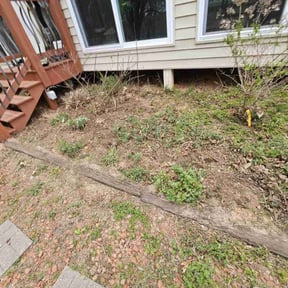 Cleanups by CH Lawn Service reviewed on December 9, 2021