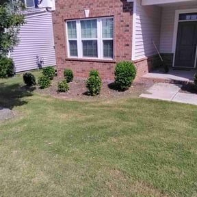 Bush Trimming by Game Over Lawn Service reviewed on October 23, 2022