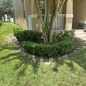 Bush Trimming by Monarch Landscaping reviewed on April 18, 2022