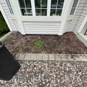 Flower Bed Weeding by Cangelosi lawn reviewed on June 2, 2022