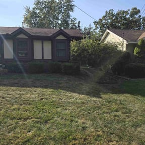 Flower Bed Weeding by LD Brown Landscaping And Pressure Washing reviewed on August 20, 2020