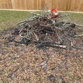 Bush Trimming by Guevara Landscaping reviewed on October 25, 2024