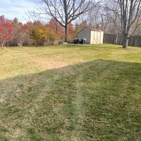 Leaf Removal by Triple M Kutters reviewed on August 3, 2022