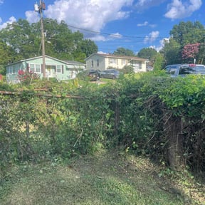 Bush Trimming by Green Oasis Lawn Care reviewed on October 4, 2023