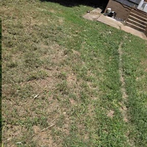 Cleanups by Knox Vegas Lawn Service reviewed on July 27, 2022