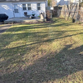 Leaf Removal by Walla lawns reviewed on June 18, 2025