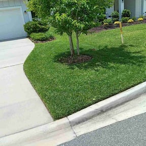 landscaping services by EOW 618 lawn care reviewed on October 19, 2023