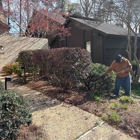 Bush Trimming by Stack Lawn Care and More LLC reviewed on March 18, 2026