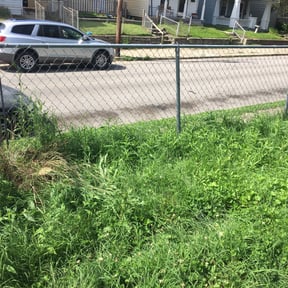 Bush Trimming by Back 9 Landscaping reviewed on August 19, 2025