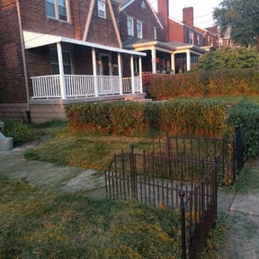 Bush Trimming by Jay Jay & W Landscaping, LLC reviewed on August 19, 2025