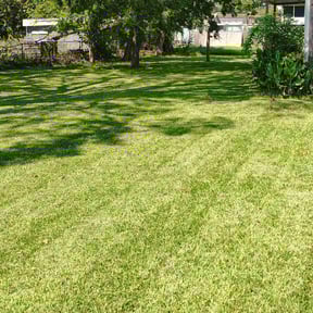 residential landscaping by HTX Lawn Pros reviewed on October 21, 2025