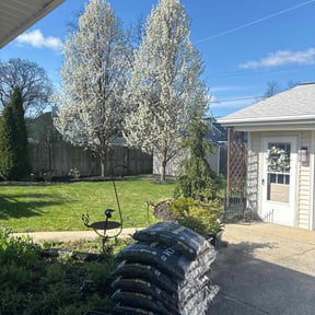 landscape maintenance by R&N services reviewed on August 15, 2025