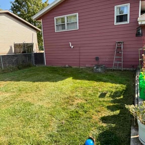 lawn care by The lawn Service,LLC reviewed on May 17, 2025