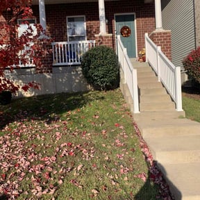 Bush Trimming by KNIGHTS PROPERTY MAINTENANCE AND REMODELING LLC reviewed on November 24, 2025