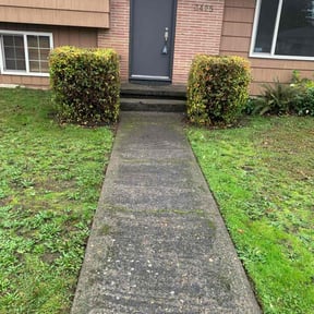 Bush Trimming by Michelle's Lawn Care reviewed on December 1, 2025