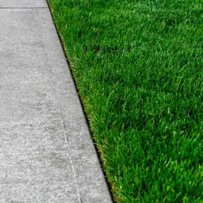 lawn care by Midwest Lawn Care reviewed on August 27, 2024