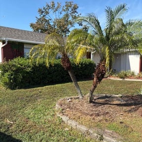 Bush Trimming by LIGHTNING LANDSCAPING &amp; LAND MANAGEMENT reviewed on November 24, 2025