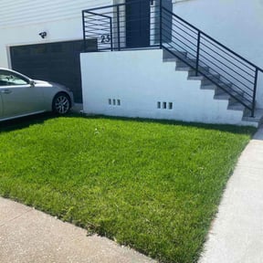 yard care by Diesel Dog Lawn Care LLC reviewed on August 18, 2025