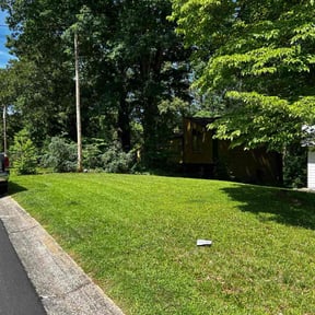 yard maintenance by Keep It Loe Lawn Service reviewed on November 21, 2025