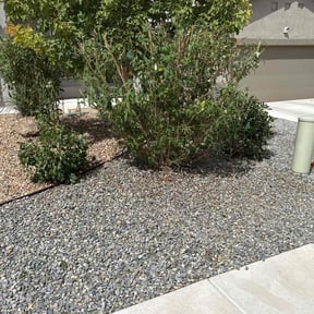 Leaf Removal by Field of Dreams Landscaping reviewed on September 8, 2025