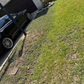 Leaf Removal by Don&#039;s Landscaping LLC reviewed on September 11, 2025