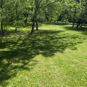 lawn maintenance by Mower Lawn & Landscape LLC reviewed on September 18, 2024