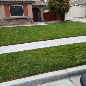 yard maintenance by Big Star Landscaping & Pest LLC reviewed on August 21, 2025
