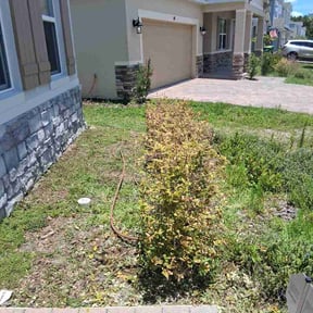 Bush Trimming by After-Hours Maintenance LLC reviewed on June 18, 2026