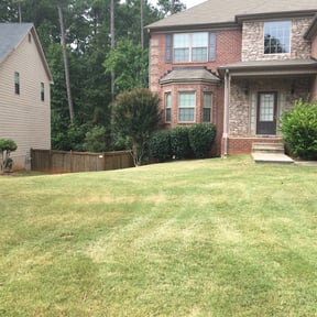 Bush Trimming by Verde Lawn and Property Management reviewed on August 21, 2025