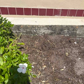 Flower Bed Weeding by Grass Munchers reviewed on August 26, 2026
