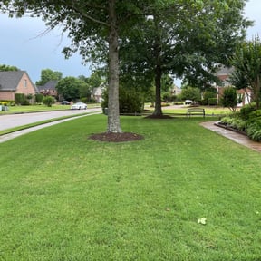 Bush Trimming by Sky Lawn &amp; Garden reviewed on February 16, 2024