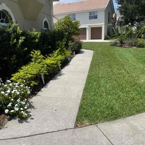 yard maintenance by W &amp; A Property services reviewed on November 22, 2025