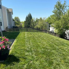 residential landscaping by Buffalo Contractors L.L.C reviewed on November 25, 2025