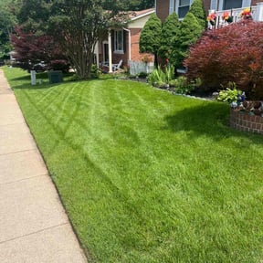 lawn care services by Katos lawn service reviewed on August 17, 2025