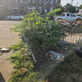 Bush Trimming by Williams Landscaping reviewed on July 19, 2026
