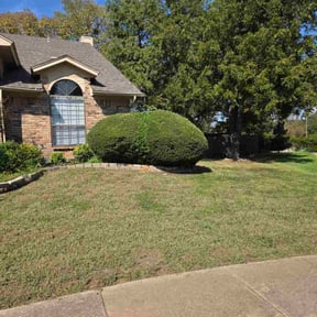 Bush Trimming by Go Turf Guy reviewed on November 4, 2025