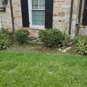 Bush Trimming by Kelsie&#039;s lawn pros reviewed on November 8, 2025