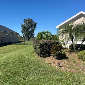 Bush Trimming by G&amp;M Grass Cutters reviewed on November 24, 2025