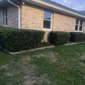 Bush Trimming by House of Beauty Lawn Care reviewed on August 21, 2025