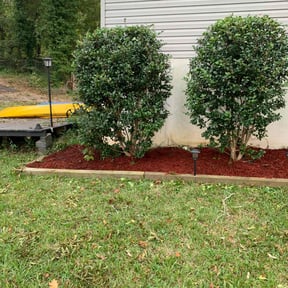 Mulching by G&M Landscaping Services reviewed on August 17, 2025