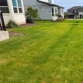 gardening service by Greenlawnz landscaping reviewed on August 19, 2025