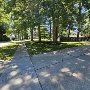 landscaping services by Major green lawn care services reviewed on August 20, 2025