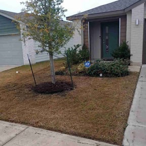 Flower Bed Weeding by John's Lawn Maintenance reviewed on January 29, 2026