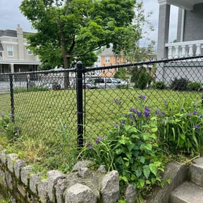 yard work by Premium grass cutz reviewed on August 14, 2025