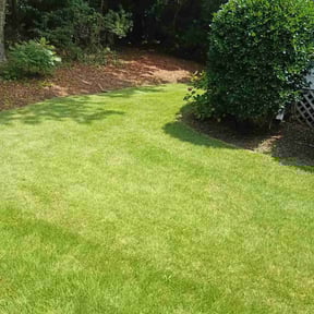landscaping services by DeBerry Landscape LLC reviewed on August 18, 2025
