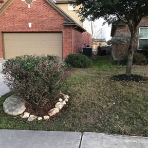Bush Trimming by Kelsie's lawn pros reviewed on November 18, 2025