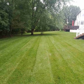 yard maintenance by Clean Cut Land Management reviewed on August 21, 2025