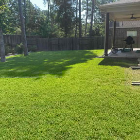 yard service by Speedy chop lawn services reviewed on August 17, 2025